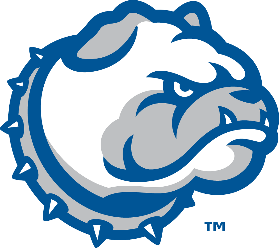 Drake Bulldogs 2015-Pres Wordmark Logo v5 diy DTF decal sticker